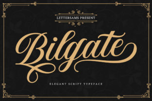 Elevate Your Brand with Bilgate: A Handwritten Font for Business