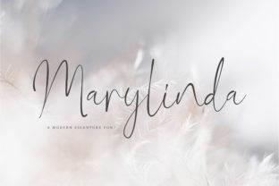 Elevate Your Web Design with Marylinda Font