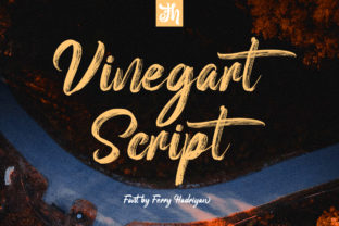 Elevate Your Web Design with Vinegart Font