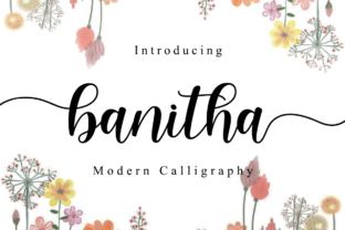 Enhancing Web Design with Banitha: A Handwritten Font